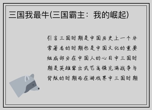 三国我最牛(三国霸主：我的崛起)